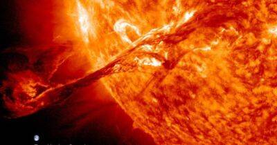 На Солнце 19 вспышек. К Земле летит огромный поток плазмы, который вызовет сильную геомагнитную бурю - focus.ua - США - Украина
