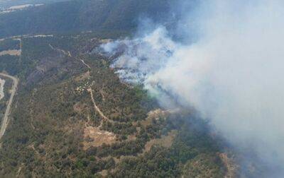 В Испании и Португалии бушуют лесные пожары: есть пострадавшие - korrespondent - Украина - Испания - Португалия - Мадрид
