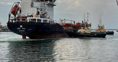Из украинских портов вышло еще три судна с агропродукцией - dsnews.ua - Сирия - Украина - Одесса - Черноморск - Черноморск - Мининфраструктуры