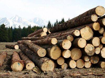 Болгария решила запретить экспорт древесины из-за взлета цен на дрова - smartmoney.one - Россия - Китай - Молдавия - Болгария - Чехия - София - Газ