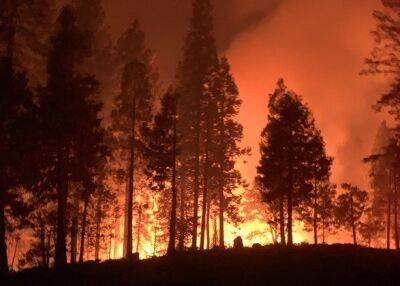 В восточных провинциях Алжира бушуют лесные пожары, есть погибшие - unn.com.ua - Украина - Киев - Испания - Португалия - Мадрид - Алжир