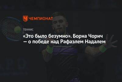 Рафаэль Надаль - Ник Кирьос - «Это было безумно». Борна Чорич — о победе над Рафаэлем Надалем - championat.com - США - Австралия