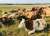 Чиновник в Витебской области пытался скрыть падеж более 800 коров - udf.by