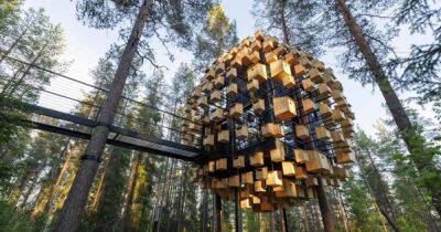 В Лапландии появился гостиничный номер на дереве, оборудованный 350 скворечниками (фото) - focus.ua - США - Украина - Швеция - Дания - Оман
