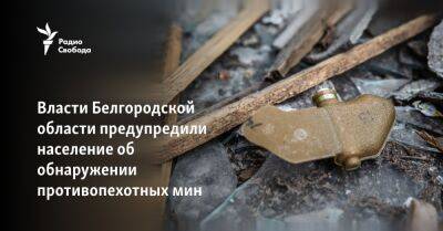 Вячеслав Гладков - Анна Маляр - Власти Белгородской области предупредили население об обнаружении противопехотных мин - svoboda.org - Москва - Россия - Украина - Киев - Донецк - Белгородская обл.