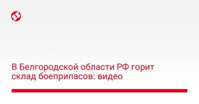 Вячеслав Гладков - В Белгородской области РФ горит склад боеприпасов: видео - liga.net - Россия - Украина - Белгородская обл.