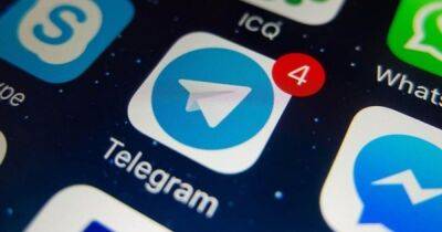 Павел Дуров - В России умеют вычислять пользователей мессенджера Telegram по IP-адресам - focus.ua - Россия - Украина - Белоруссия