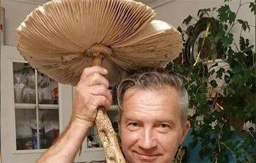 В Вилейке прямо в городе нашли гигантский гриб-зонтик - charter97.org - Белоруссия