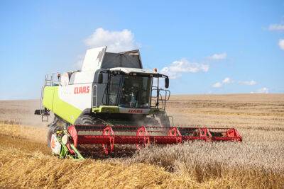 В Беларуси намолотили 5,7 млн тонн зерна - grodnonews.by - Белоруссия