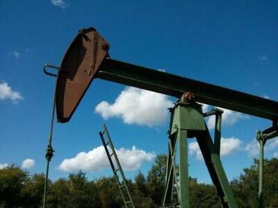 Цены на нефть снизились из-за опасений о замедлении мировой экономики - minfin.com.ua - Россия - Китай - США - state Texas - Украина - Reuters