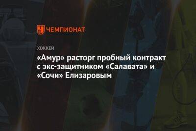 Вадим Епанчинцев - «Амур» расторг пробный контракт с экс-защитником «Салавата» и «Сочи» Елизаровым - championat.com - Сочи - Уфа - Югра