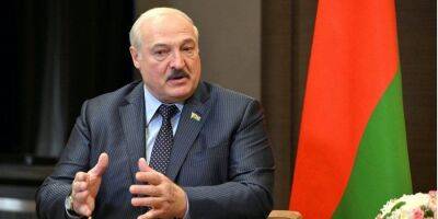 Александр Лукашенко - Валерий Залужный - «Нет у меня никакого желания». Диктатор Лукашенко заявил, что Беларусь «не будет нападать» на Украину - nv.ua - Россия - Украина - Белоруссия