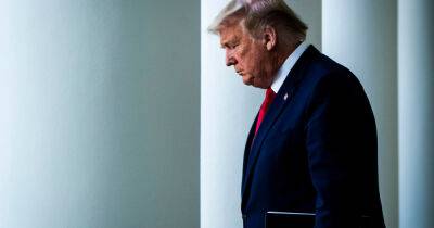 Дональд Трамп - Владимир Путин - Трамп считает, что Украина могла избежать войны, отказавшись от Крыма и курса в НАТО - dsnews.ua - Россия - США - Украина - Крым