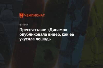 Пресс-атташе «Динамо» опубликовала видео, как её укусила лошадь - championat.com - Москва