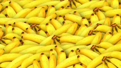 Немецкий чиновник призвал замещать российский газ топливом из банановой кожуры - obzor.lt - Россия - Европа
