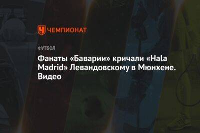 Роберт Левандовски - Фанаты «Баварии» кричали «Hala Madrid» Левандовскому в Мюнхене. Видео - championat.com - Польша - Варшава - Мадрид - Madrid
