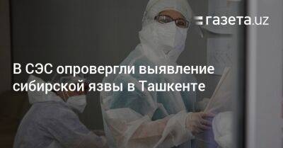 В СЭС опровергли выявление сибирской язвы в Ташкенте - gazeta.uz - Узбекистан - Ташкент - район Юнусабадский - Сырдарьинская обл.