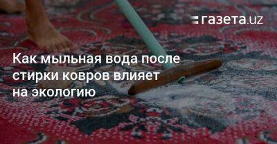 Как мыльная вода после стирки ковров влияет на экологию - gazeta.uz - Узбекистан - Ташкент - район Сергелийский, Ташкент - Экология