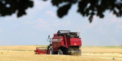 Более 6,6 млн тонн зерна намолотили в Беларуси - grodnonews.by - Белоруссия