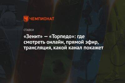 «Зенит» — «Торпедо»: где смотреть онлайн, прямой эфир, трансляция, какой канал покажет - championat.com