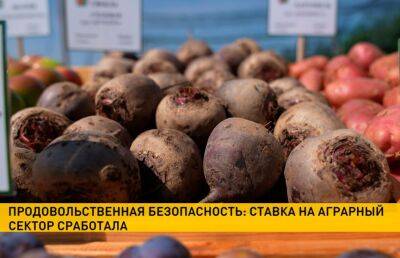 Беларусь может полностью гарантировать продовольственную безопасность - ont.by - Белоруссия - район Пружанский