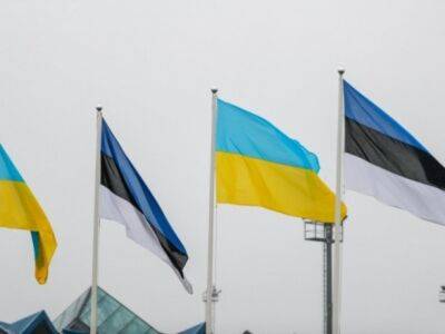 Матти Маасикас - В рамках эвакуации Эстония приняла у себя 50 тысяч украинцев – посол ЕС - unn.com.ua - Россия - Украина - Киев - Англия - Германия - Эстония
