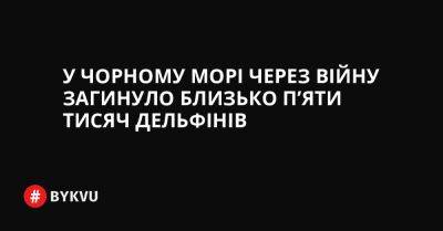 У Чорному морі через війну загинуло близько п’яти тисяч дельфінів - bykvu.com - Украина - Twitter