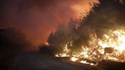 Португалия - Португалия борется с масштабными лесными пожарами - ru.euronews.com - Португалия - Лиссабон