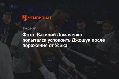 Василий Ломаченко - Александр Усик - Джон Джойс - Фото: Василий Ломаченко попытался успокоить Джошуа после поражения от Усика - championat.com - Саудовская Аравия - Джидда