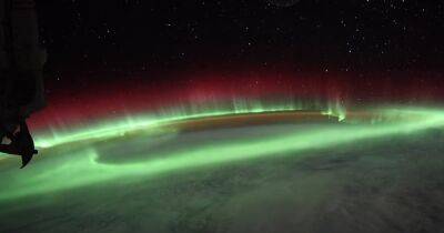 Результат геомагнитной бури. На МКС сделали впечатляющие снимки полярных сияний (фото) - focus.ua - Норвегия - США - Украина - Австралия - Швеция - Финляндия - Канада - Новая Зеландия - шт.Аляска - Гренландия - Исландия