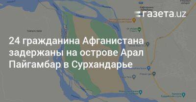 24 гражданина Афганистана задержаны на острове Арал Пайгамбар в Сурхандарье - gazeta.uz - Узбекистан - Афганистан