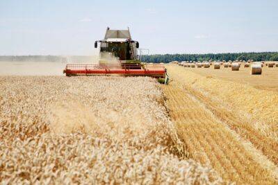 В Беларуси намолотили 6,7 млн тонн зерна - grodnonews.by - Белоруссия