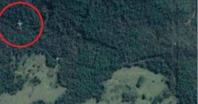 Австралия - Эфиопия - Google Maps, возможно, показали самолет, упавший в тропическом лесу Австралии (фото) - koronavirus.center - Украина - New York - New York - Аддис-Абеба - Australia - штат Квинсленд
