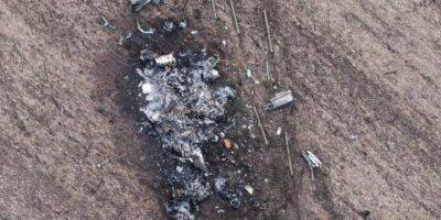Воздушные силы ночью сбили вражеский вертолет Ка-52 - nv.ua - Россия - Украина