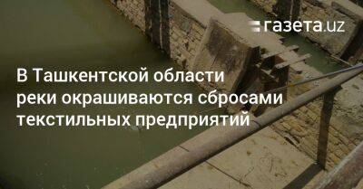 В Ташкентской области реки окрашиваются сбросами текстильных предприятий - gazeta.uz - Узбекистан - Ташкент - Экология