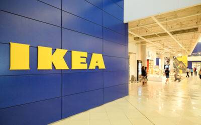 IKEA хочет вернуться в Россию и не будет продавать свой бизнес - afanasy.biz - Россия - Ленинградская обл. - Московская обл. - Швеция - Кировская обл. - Новгородская обл.