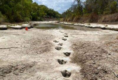 У Техасі виявлено найдовші сліди динозаврів, яким понад 113 мільйонів років (Фото) - lenta.ua - США - Украина