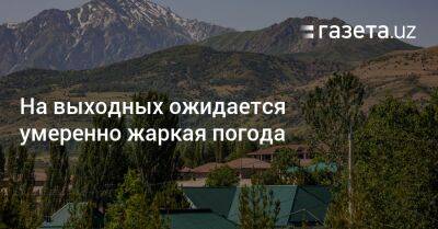 На выходных ожидается умеренно жаркая погода - gazeta.uz - Узбекистан