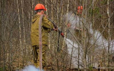 Высокая пожарная опасность объявлена в Тверской области еще на несколько дней - afanasy.biz - Тверская обл.