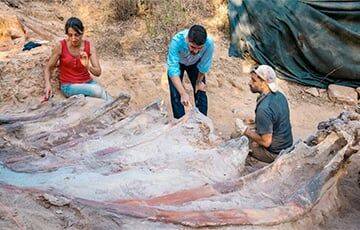 В Португалии нашли самого большого динозавра в Европе - charter97.org - Белоруссия - Португалия - Танзания