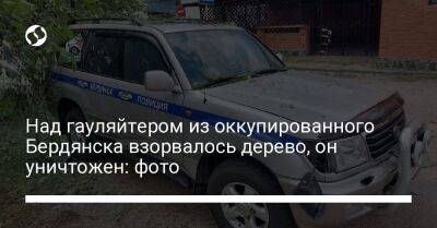 Александр Колесников - Над гауляйтером из оккупированного Бердянска взорвалось дерево, он уничтожен: фото - liga.net - Украина - Бердянск