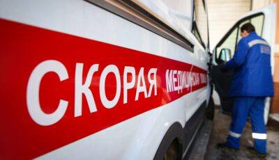 Россиянка откусила нос восьмилетнему пасынку - ukrpost.biz - Санкт-Петербург - Челябинская обл. - Владивосток - Магнитогорск