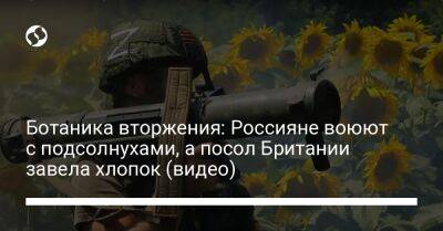 Ботаника вторжения: Россияне воюют с подсолнухами, а посол Британии завела хлопок (видео) - liga.net - Россия - Украина - Англия - Twitter