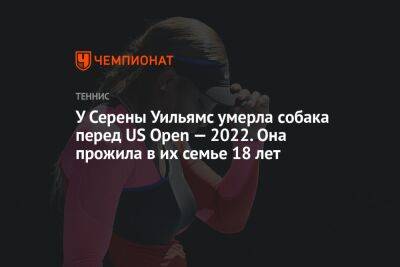 Серена Уильямс - У Серены Уильямс умерла собака перед US Open — 2022. Она прожила в их семье 18 лет - championat.com - США - Черногория