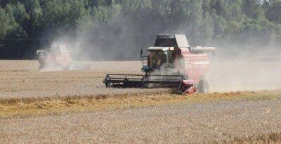 В Гродненской области намолотили более 1,5 млн тонн зерна - grodnonews.by - Белоруссия