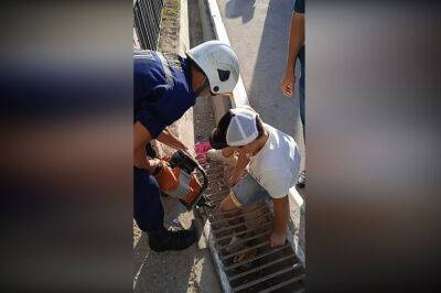 В Гулистане мальчик застрял в металлической решетке арыка. Родителям пришлось вызывать спасателей - podrobno.uz - Узбекистан - Ташкент