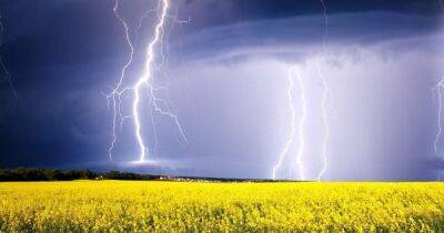 На Левобережье Украины объявили штормовое предупреждение (КАРТА) - dsnews.ua - Украина