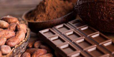 Актуально для многих. Врачи обнаружили неожиданную пользу какао - nv.ua - Украина - Англия