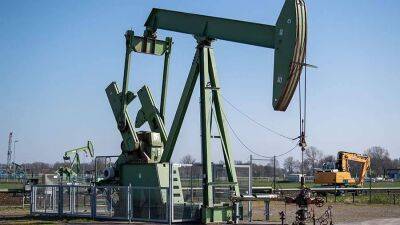 Мухаммед Баркиндо - Дженнифер Грэнхолм - Страны ОПЕК+ увеличат добычу нефти на 100 тыс. баррелей в сутки - smartmoney.one - Россия - США - Ирак - Саудовская Аравия - Кувейт