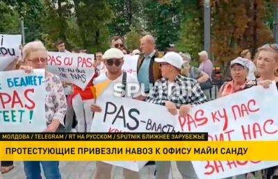 Майя Санду - Жители Молдовы предложили Майе Санду отапливать здание администрации и парламента навозом - ont.by - Молдавия - Белоруссия - Газ